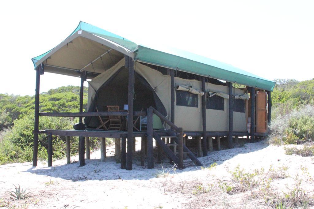 West Coast Luxury Tents Dwarskersbos Εξωτερικό φωτογραφία