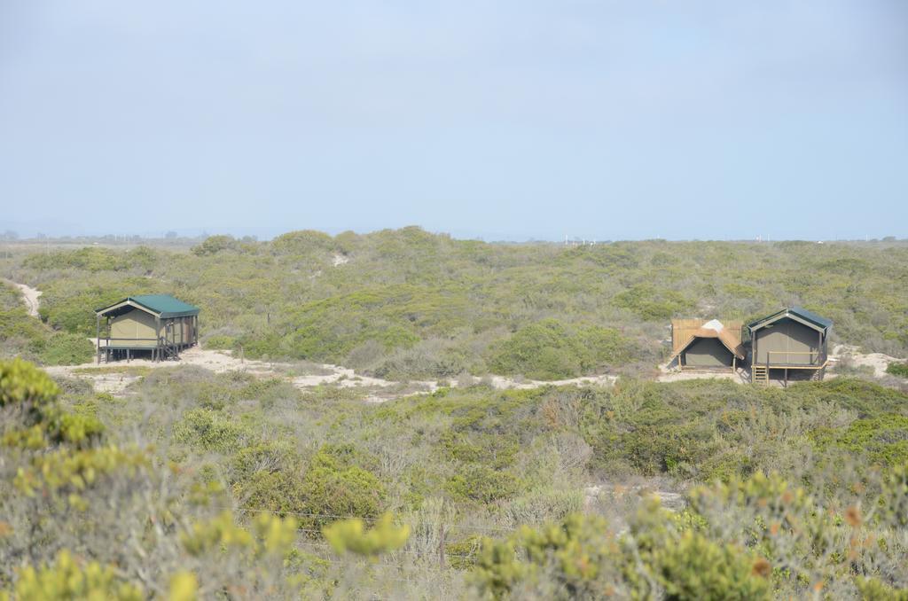 West Coast Luxury Tents Dwarskersbos Εξωτερικό φωτογραφία