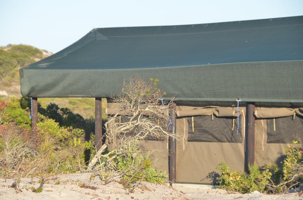 West Coast Luxury Tents Dwarskersbos Εξωτερικό φωτογραφία