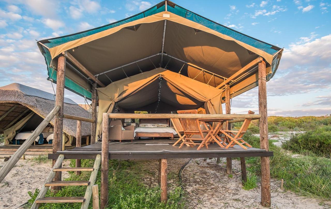 West Coast Luxury Tents Dwarskersbos Εξωτερικό φωτογραφία